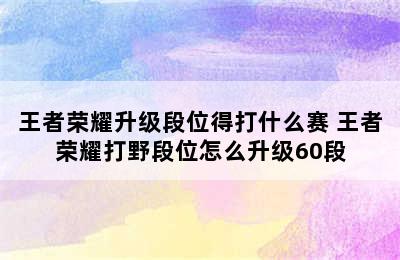 王者荣耀升级段位得打什么赛 王者荣耀打野段位怎么升级60段